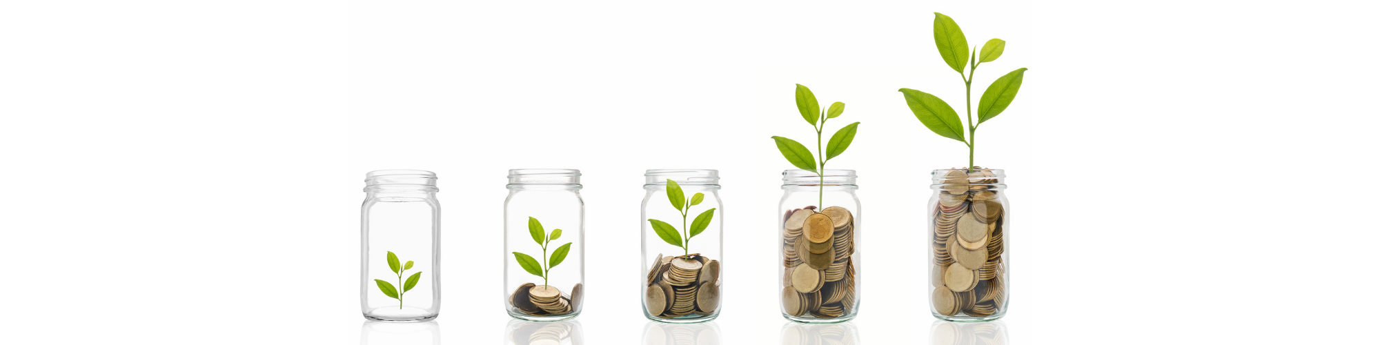 Annual Giving Strategies for 2021 Banner