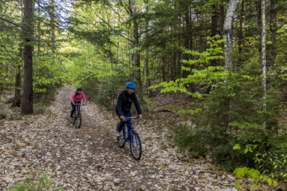 Biking through the woods