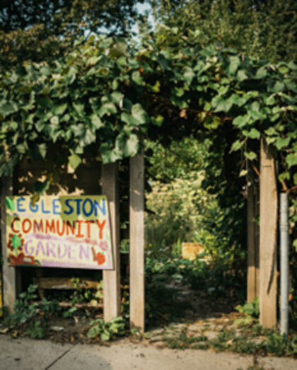 photo of a community garden