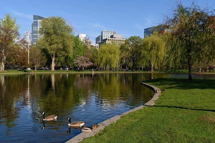 Boston Public 