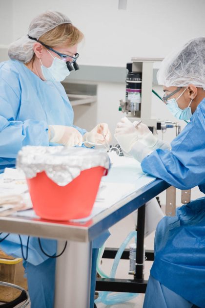 two doctors working over a table