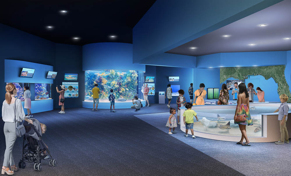 Executive Search for Vice President, Development at Cox Science Center