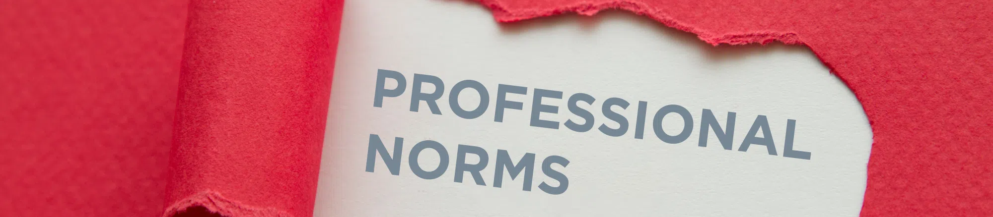 9 Unspoken Norms of the Fundraising Profession Banner