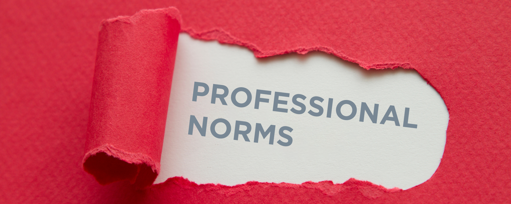 9 Unspoken Norms of the Fundraising Profession Banner