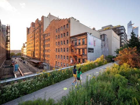 Friends of the High Line – Executive Search Client Story