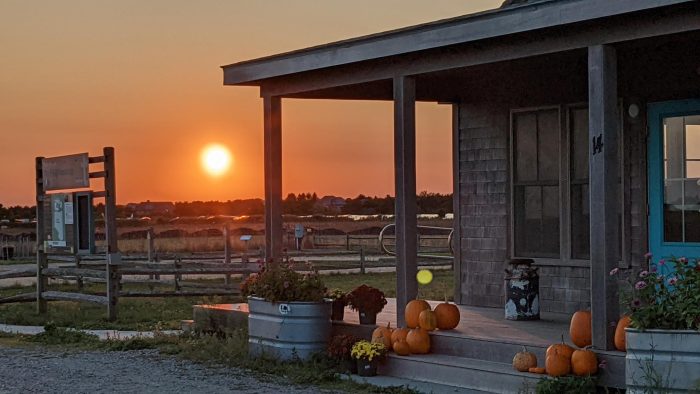 a cottage with pumpkins on the stoop overlooking a sunset over the ocean