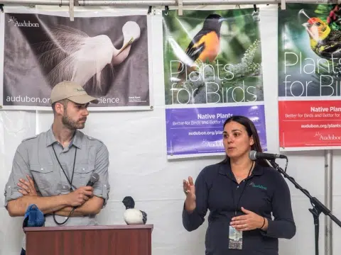 Featured Placement: Lauren Shoor at National Audubon Society