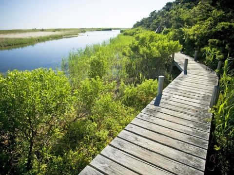 The Trustees – Executive Search Client Story