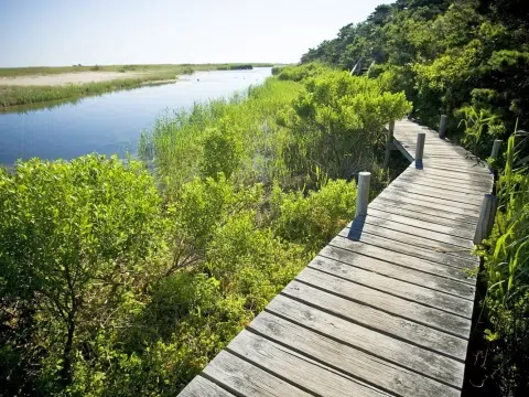 The Trustees – Executive Search Client Story