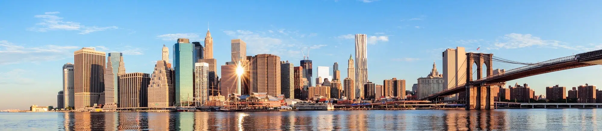 C-Suite Searches Banner