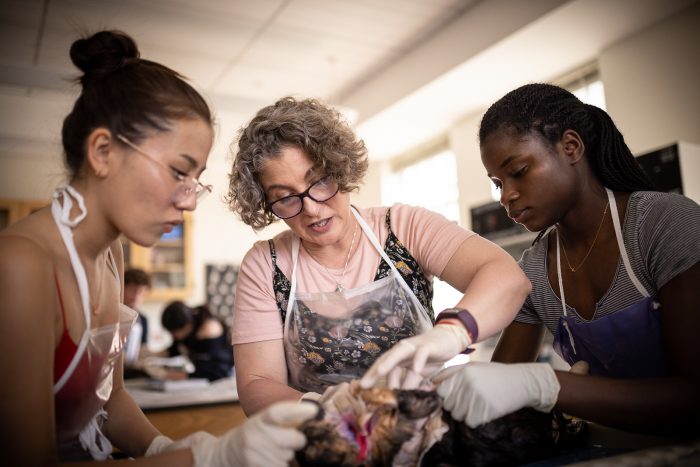 Cushing Students in Lab