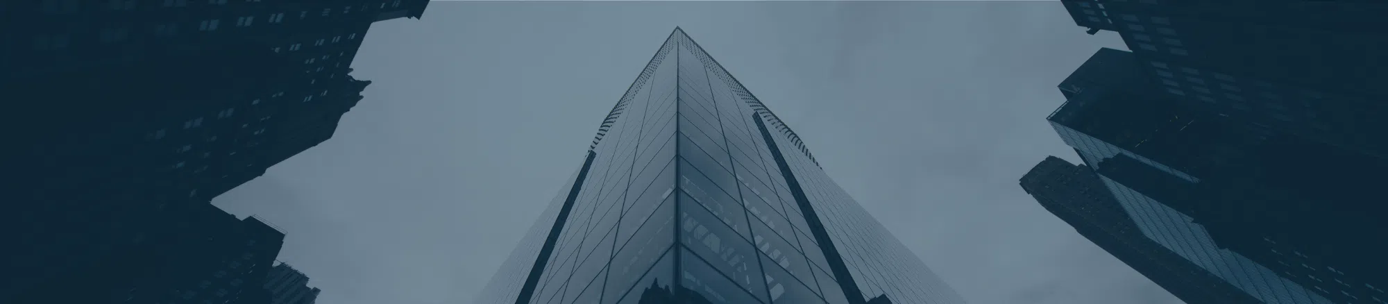 Nonprofit Insights and Advice Banner