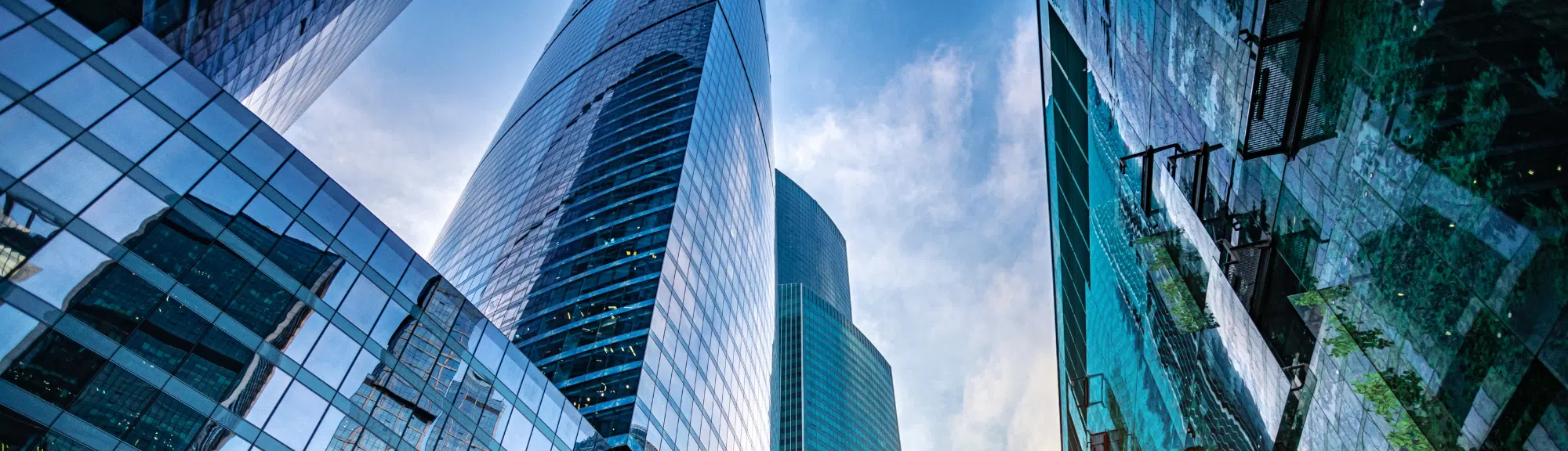 “What Are You Called To Do?” Banner