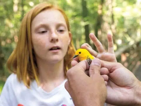 The National Audubon Society – Executive Search Client Story