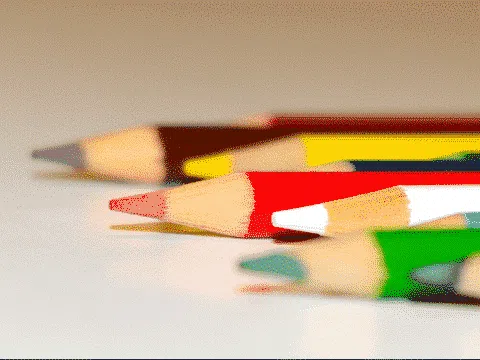 Diversity, Equity & Inclusion